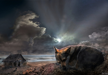 Greyhound Dreams ... / ***