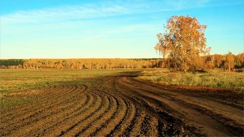 Road / ***
