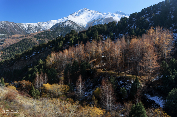 Autumn in the mountains / ***