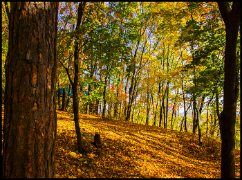 Autumn sketches / ***