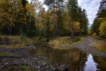 Autumn Nature / ***
