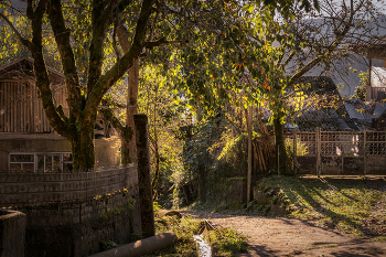 Morning Light In Kapnistavi Village / ***