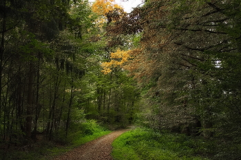 Autumn colors / ***