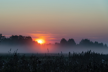 Cool morning / ...