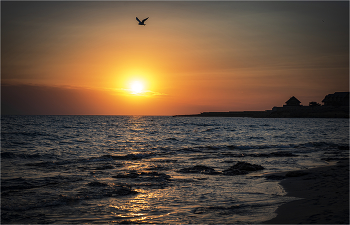 The Black Sea sunset / ***