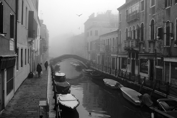 Fog dissipates / Venice
