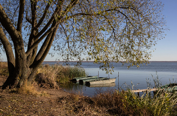 On the lake / ***