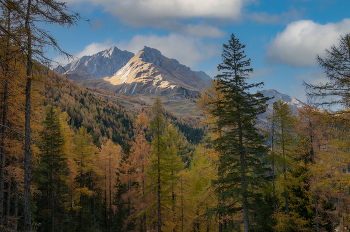 Autumn Gatchina / ...