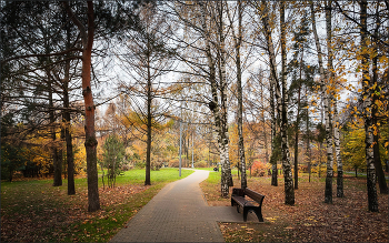 In the fall the park ... / ***