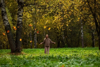 Leaf fall / ***