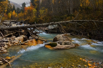 Mountain Stream / ***