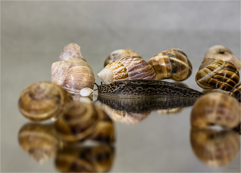 With myself ... / ***