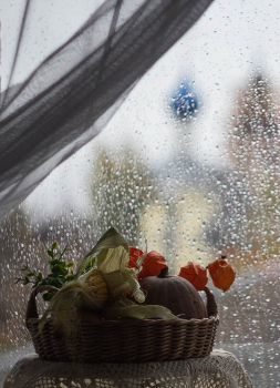 rain outside the window / ***