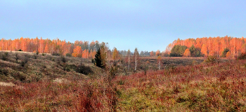 Panorama of autumn / ***