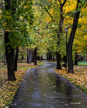 a park / ***