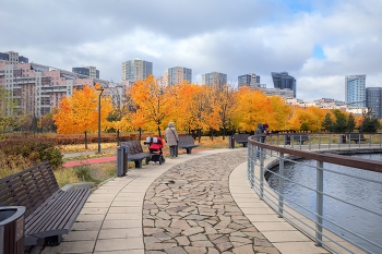 In autumn color / ***
