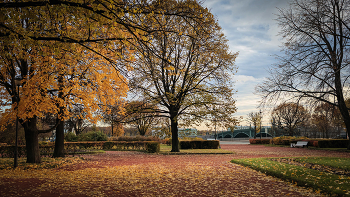 In the fall the park ... / ***