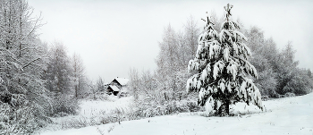 Cottage in the woods. / ***