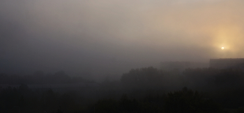 Evening fog / ***