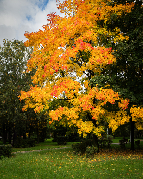 Autumn colors ... / ***