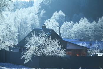 Frosty landscape / ***