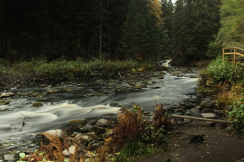 Karelian landscape / ***