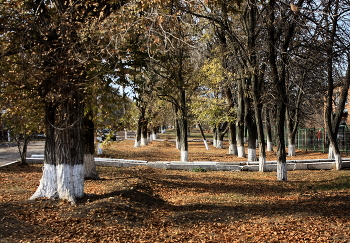 Autumn / ***