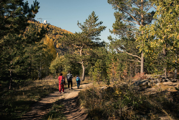 Autumn walk / ***