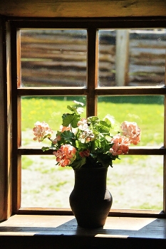 In the village / ***