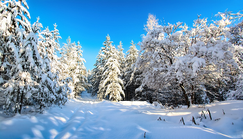 After snowfall / ***