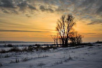 near Moscow evening / ***