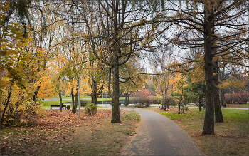 In the fall the park ... / ***