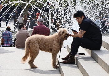 At the fountain / +++