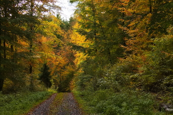 last day of October / ***