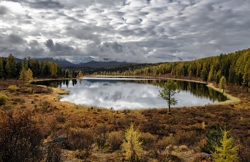 Lake Kidelyu / ***