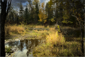 Autumn / ***