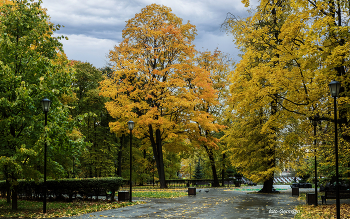 Walk in the park / ***