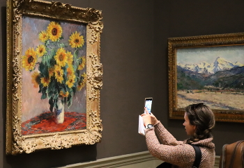 Sunflowers / ***