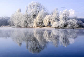 Winter landscape / ***