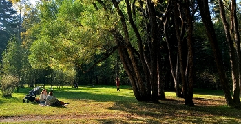 in the park / ***