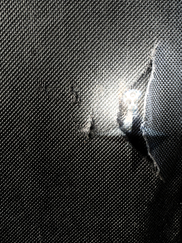 A human star / In a net