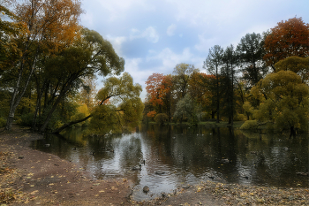 Autumn Gatchina / ***