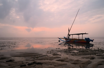 Pink morning / ***