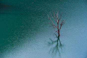 Minimalism / ***