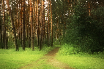 Evening Promenade / ***