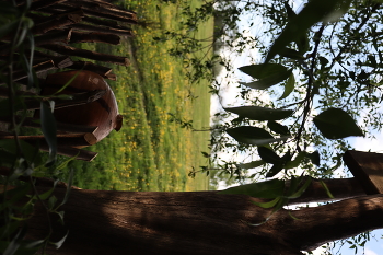 living / ***