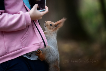 Photo Shoot / ***