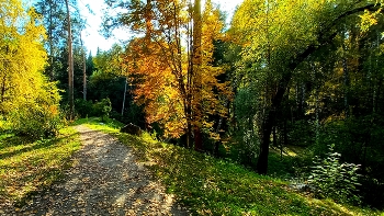 Batonichesky garden / ***