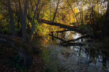 About autumn ... / ***