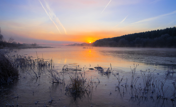 Frosty morning. / ***